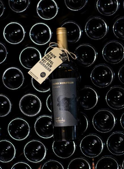Mahorko Wein Wellness Wasserbueffel Hotel Glanz an der Weinstrasse
