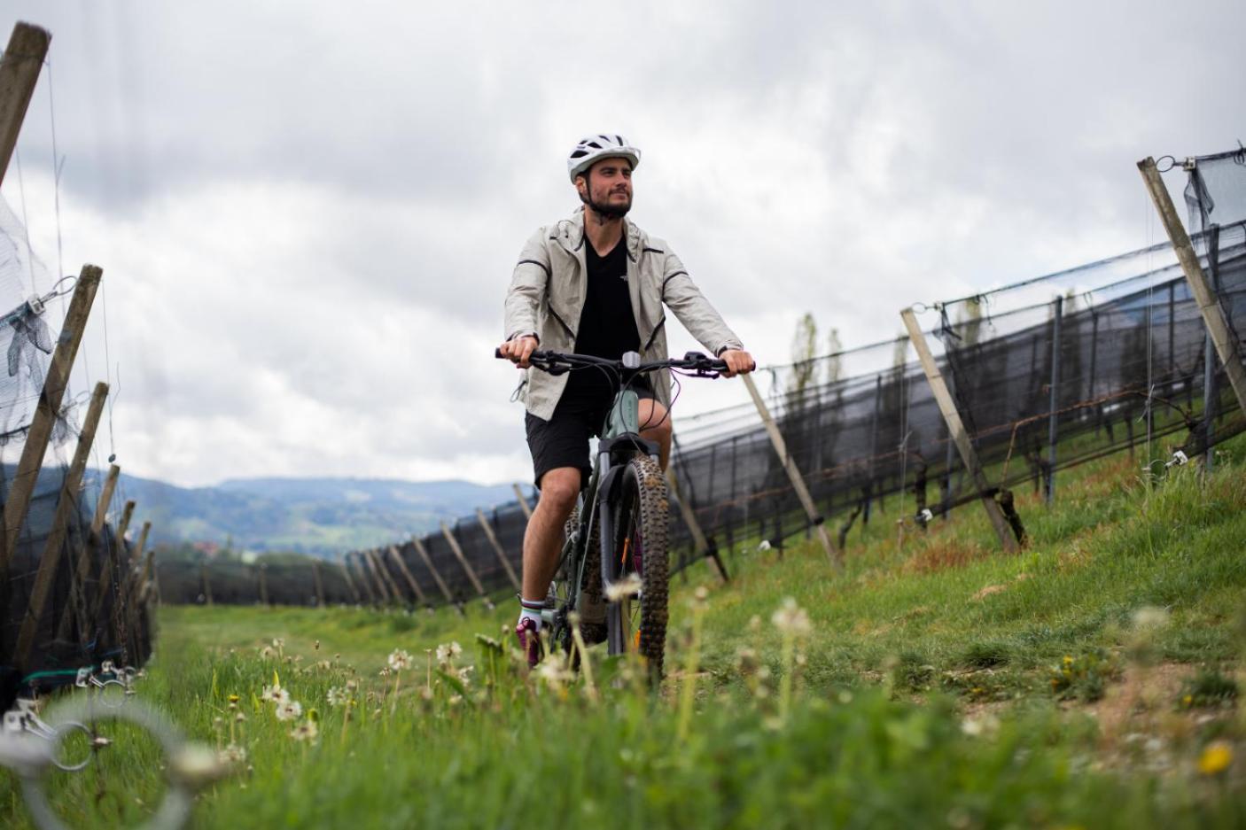 Hotel Mahorko Wein Wellness Wasserbueffel Glanz an der Weinstrasse